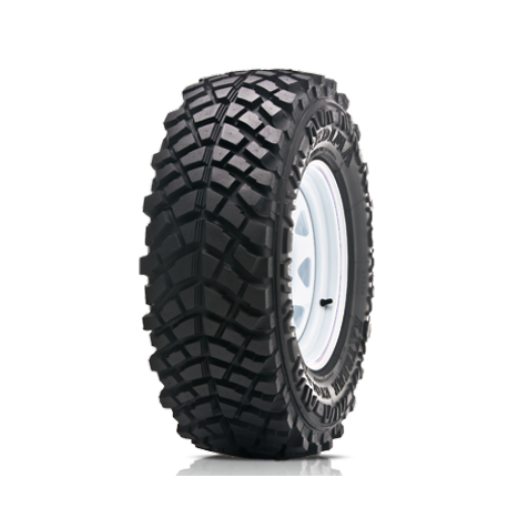 Fedima 205/70R15 EXTREME EVOLUTION 100Q